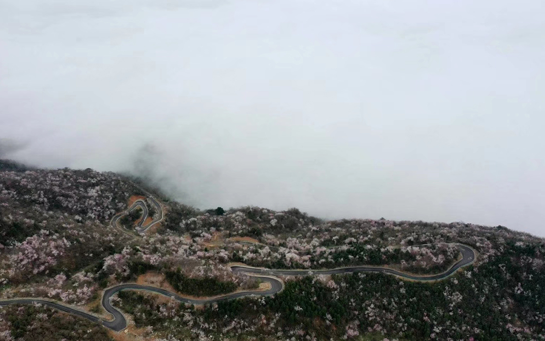 �Ӵ�����welcome888����(�й�)���޹�˾����