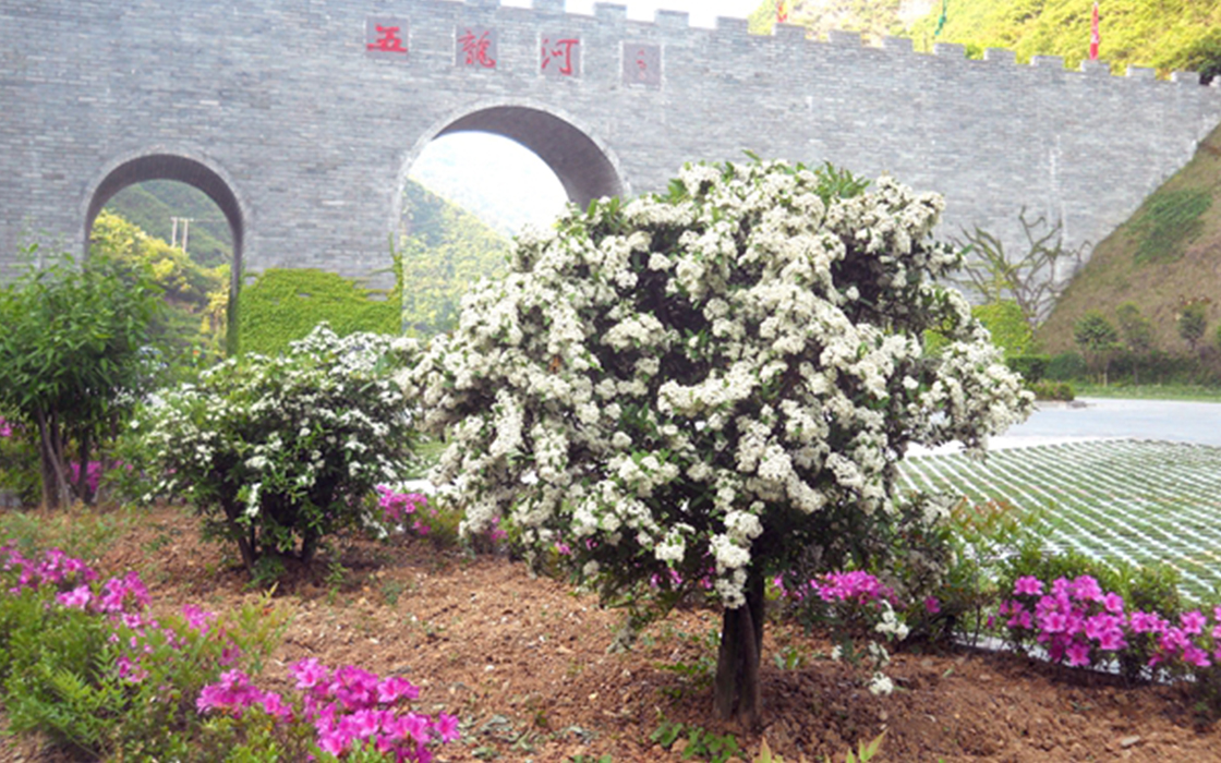 �Ӵ�����welcome888����(�й�)���޹�˾����