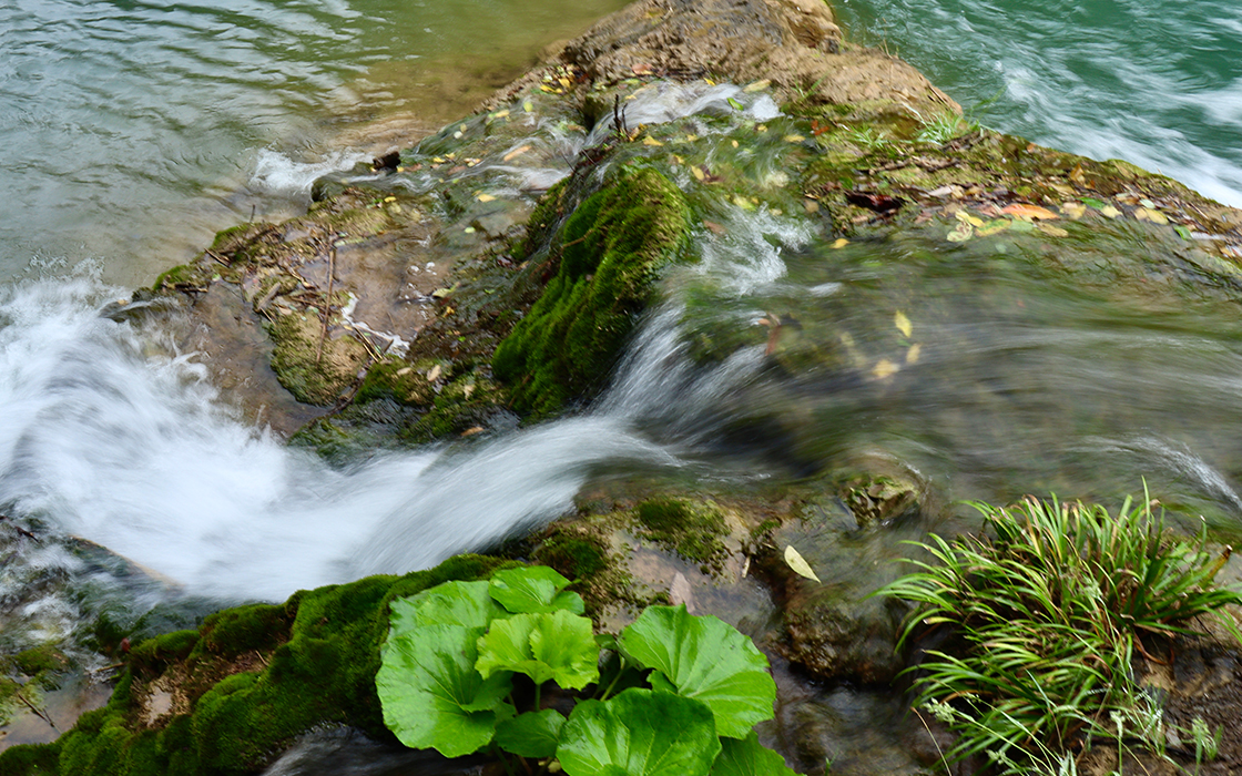 �Ӵ�����welcome888����(�й�)���޹�˾����