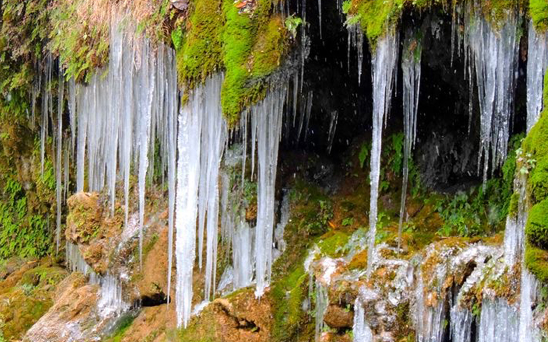 �Ӵ�����welcome888����(�й�)���޹�˾����