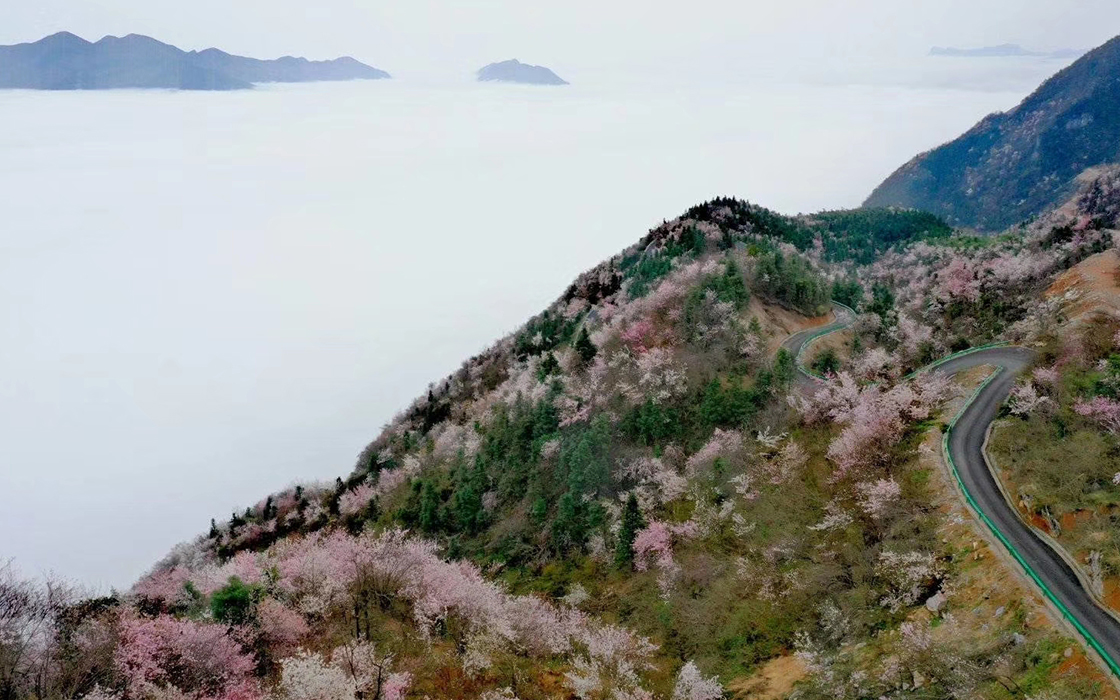 �Ӵ�����welcome888����(�й�)���޹�˾����