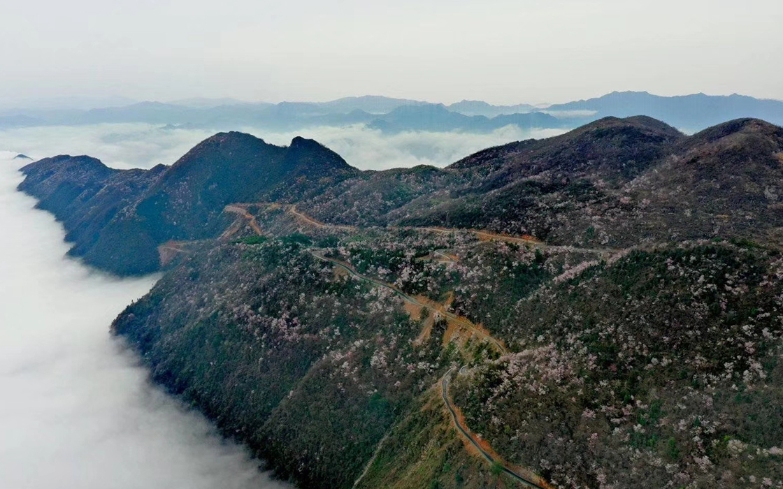 �Ӵ�����welcome888����(�й�)���޹�˾����