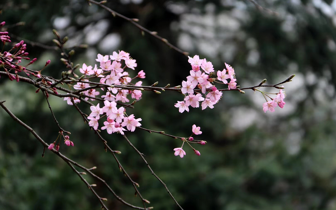 �Ӵ�����welcome888����(�й�)���޹�˾����