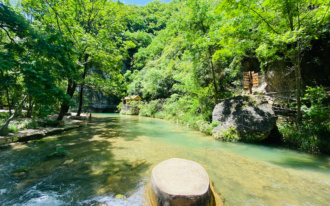 �Ӵ�����welcome888����(�й�)���޹�˾����