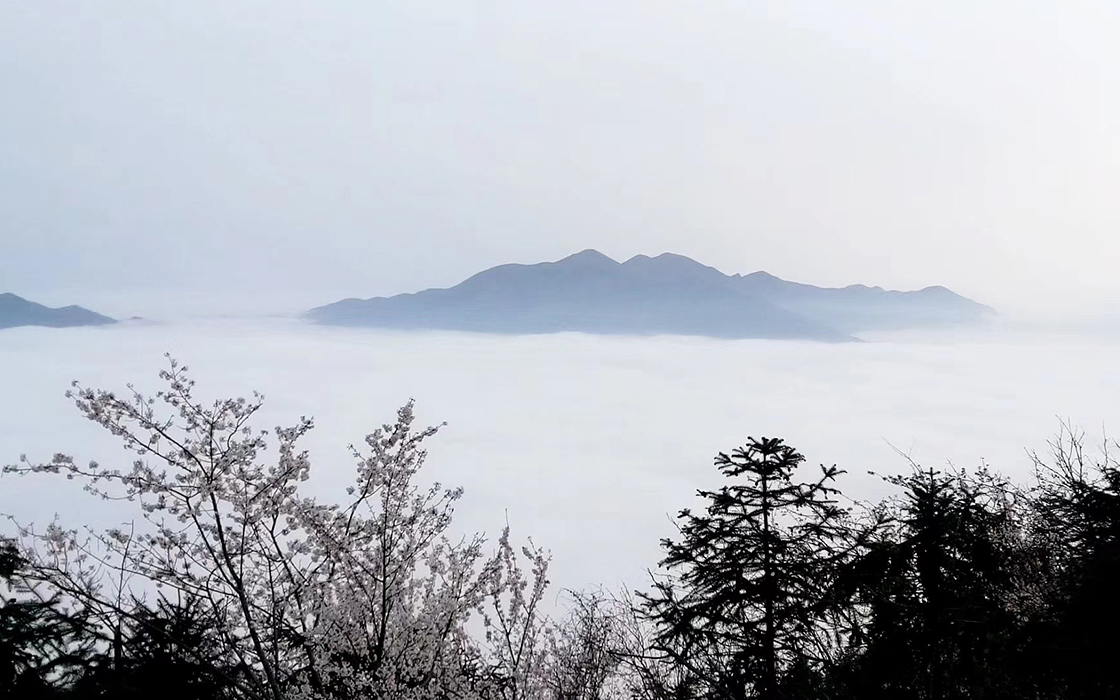 �Ӵ�����welcome888����(�й�)���޹�˾����