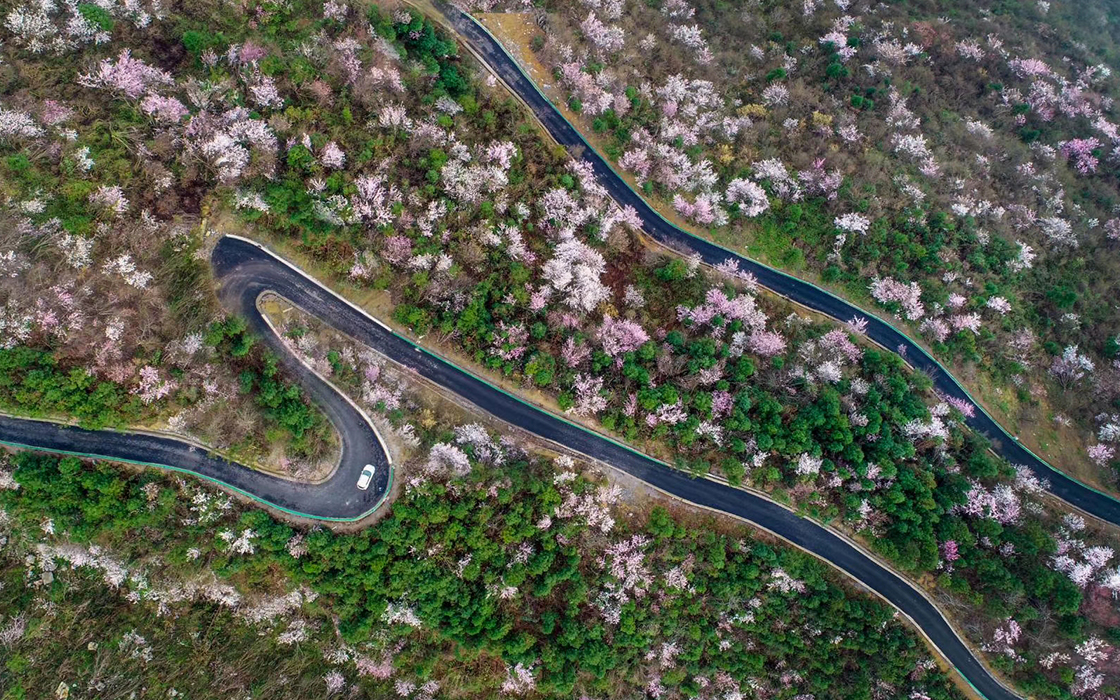 �Ӵ�����welcome888����(�й�)���޹�˾����