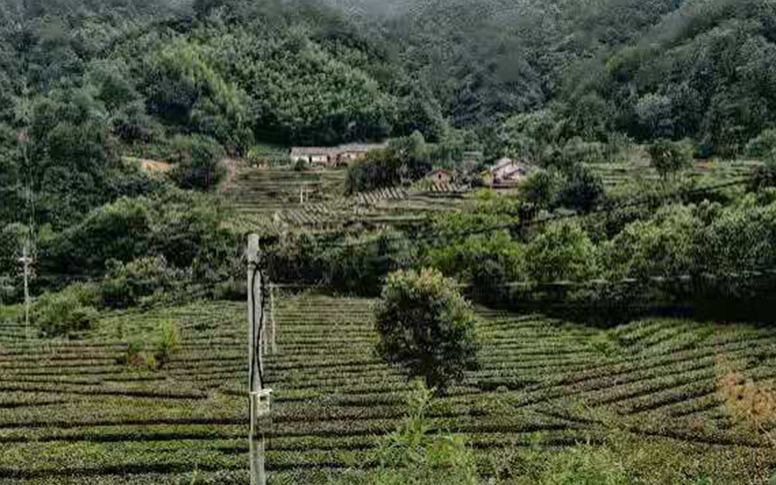 �Ӵ�����welcome888����(�й�)���޹�˾����