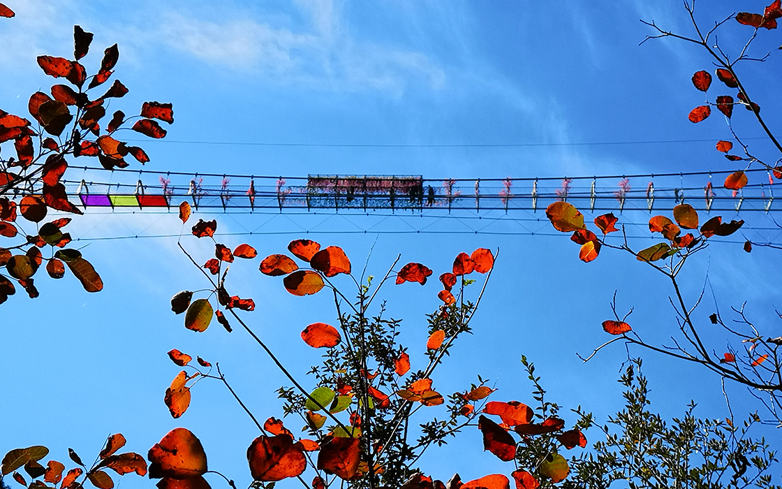 �Ӵ�����welcome888����(�й�)���޹�˾����