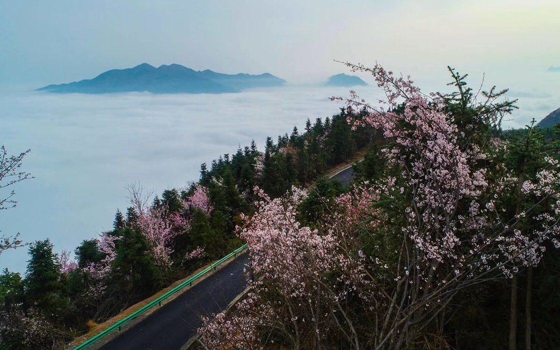 �Ӵ�����welcome888����(�й�)���޹�˾����