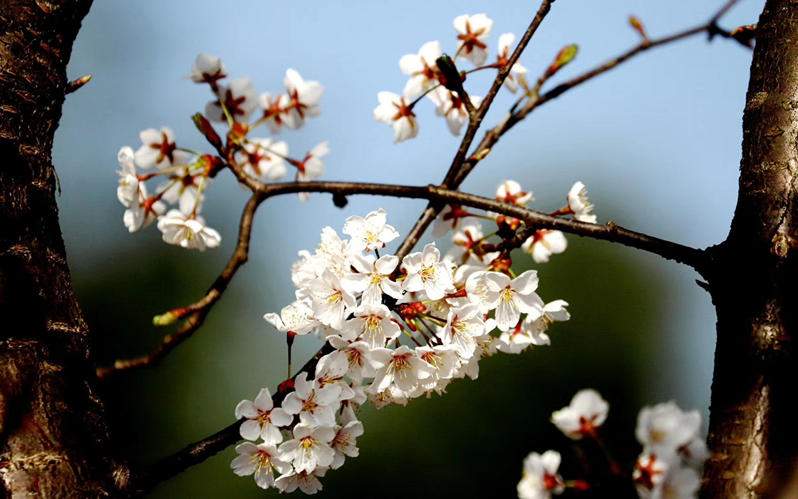 �Ӵ�����welcome888����(�й�)���޹�˾����