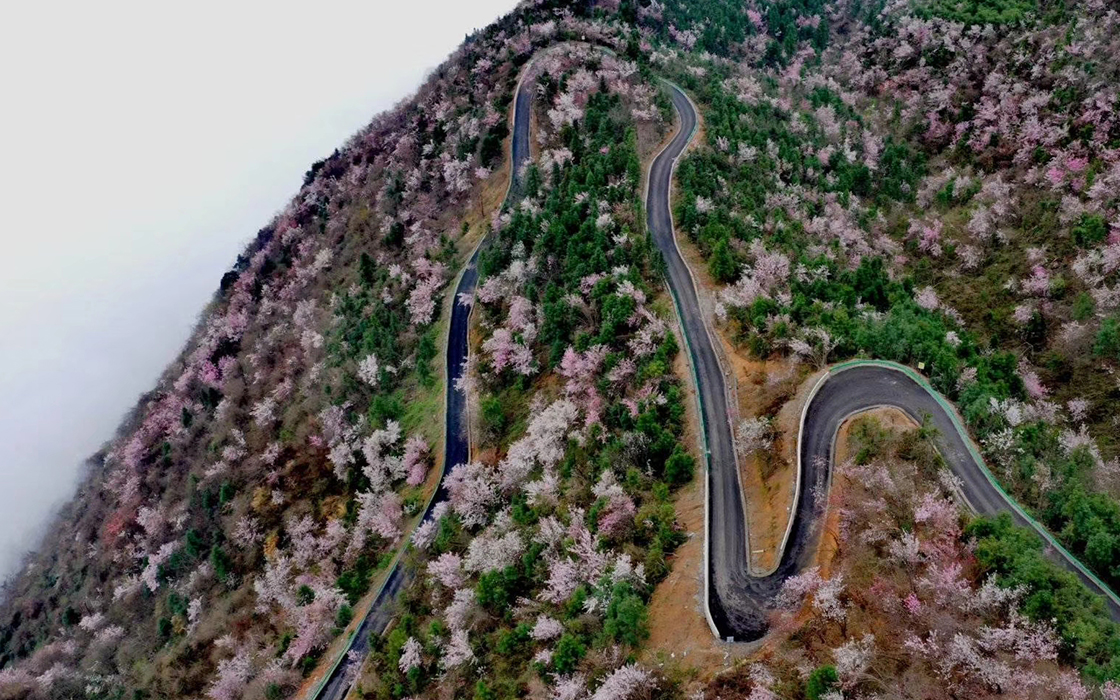 �Ӵ�����welcome888����(�й�)���޹�˾����