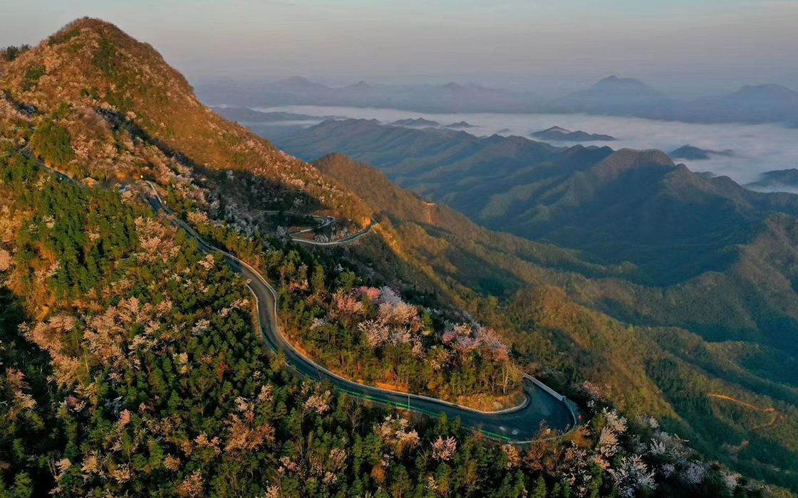 �Ӵ�����welcome888����(�й�)���޹�˾����