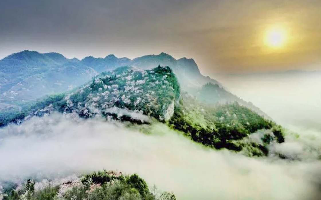 ����888���ż��ų������ο������޹�˾